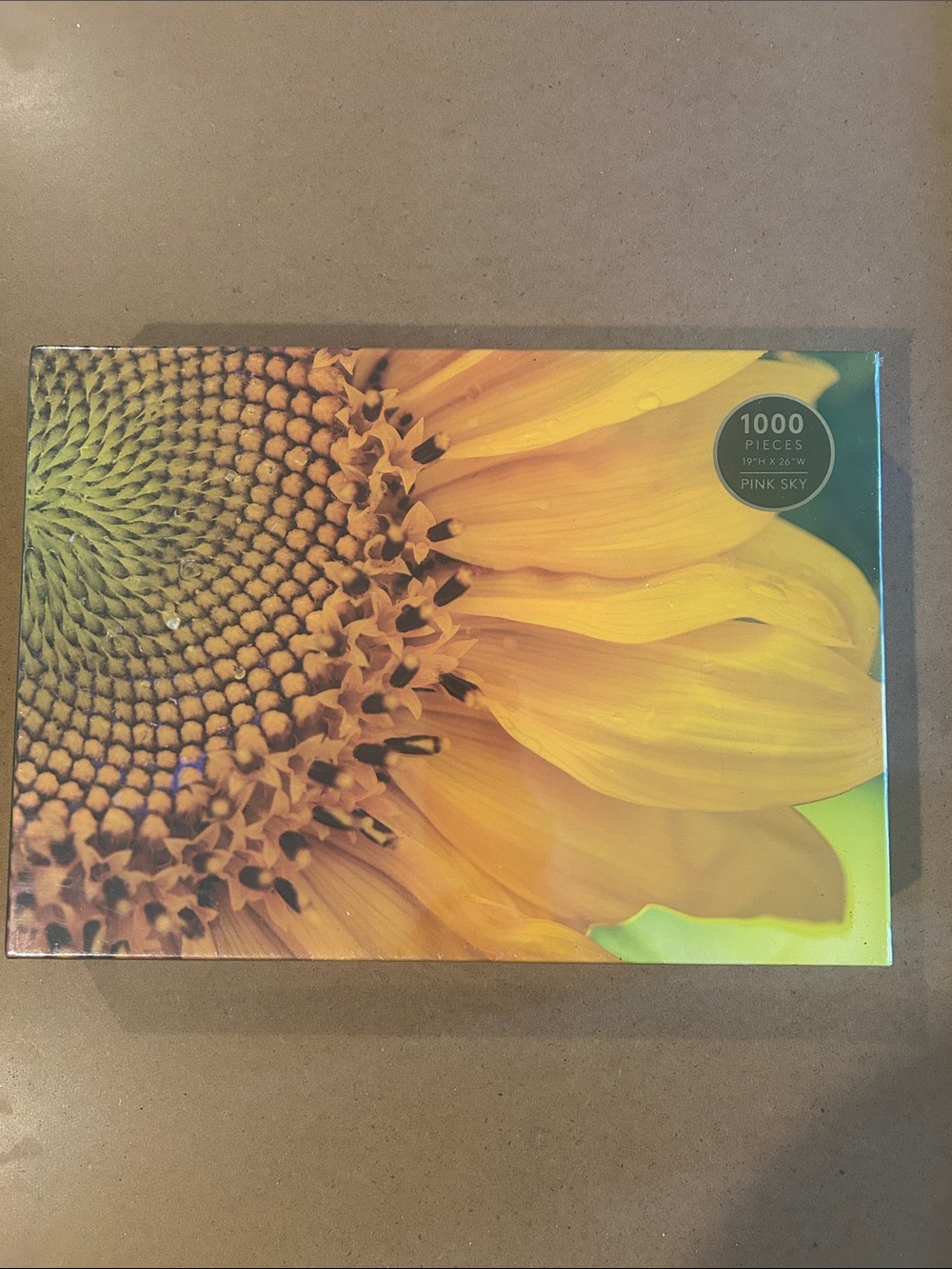 Vibrant Sunflowers